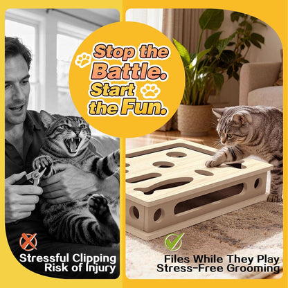 Cat Scratch Puzzle Enrichment Box