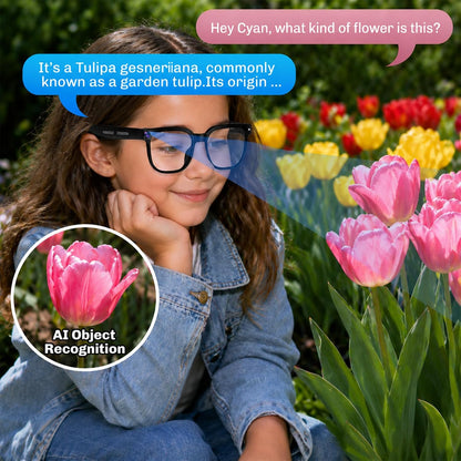 AI Smart Glasses - Equipped with Camera - Multi-language AI Translation - Photochromic Lenses