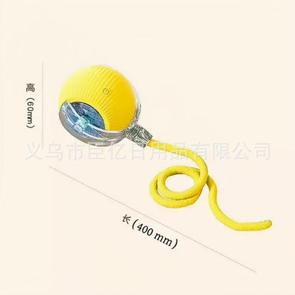 2-in-1 Cat Hunting Set: Hunting Cover & Hunting Ball