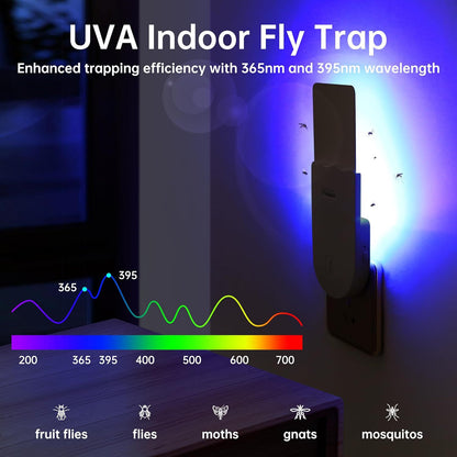 Fly Traps Indoor, Fruit Gnat Fly Traps for House