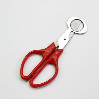 Quail Egg Scissors – Stainless Steel Scissors Specifically For Quail Eggs