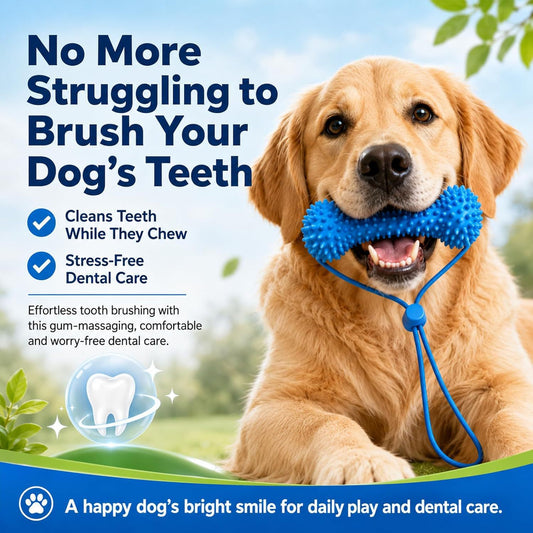 Dog Mouth Opener for Teeth Cleaning