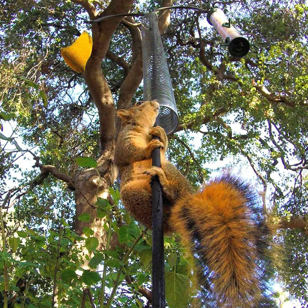 Squirrel Proof Metal Spring Device for Outdoor Bird Feeder Poles Protects