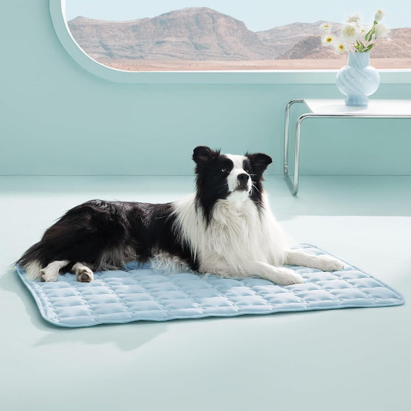Cooling Dog Mat Extra Large, Q-Max>0.5 Thin Breathable Cold Crate Pad for Pet