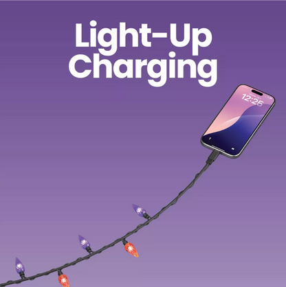 LED Festive Bulb Cables Charging Cable USB-C