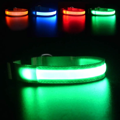 LED Dog Collars Rechargeable Light Up for Night