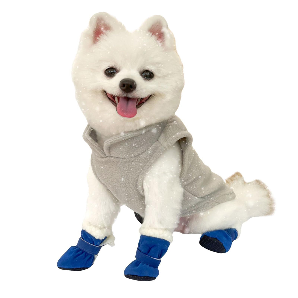 Winter Dog Shoes