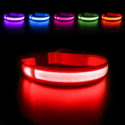 LED Dog Collars Rechargeable Light Up for Night