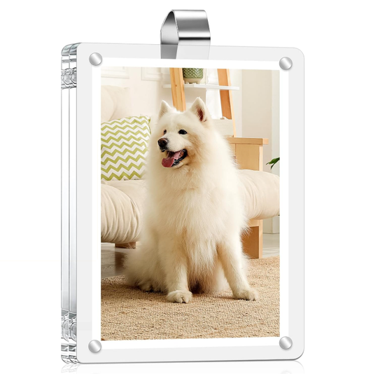 Car Visor Photo Clip Car Picture Holder