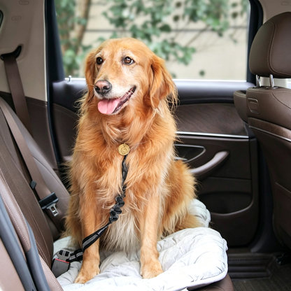 Adjustable Dog Seat Belt, for Vehicle Nylon Pet Safety Seat Belts Heavy Duty & Elastic