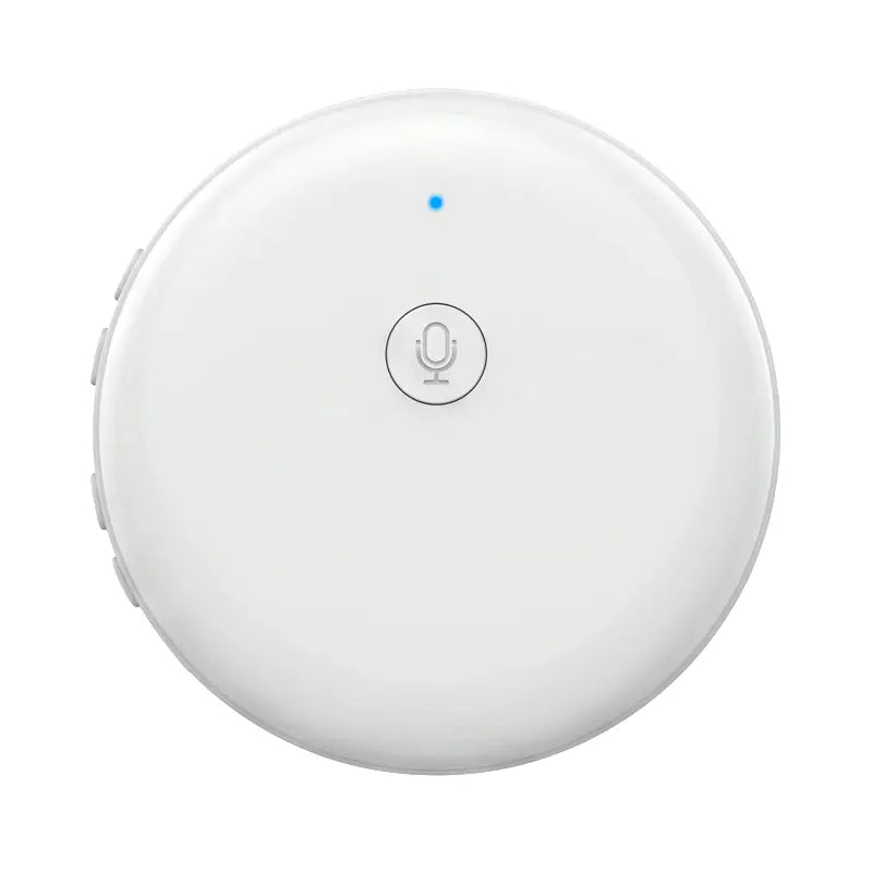 Portable Wireless AI Language Translator - Supports 139 Languages