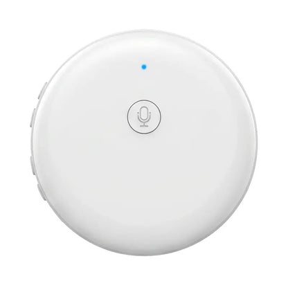 Portable Wireless AI Language Translator - Supports 139 Languages